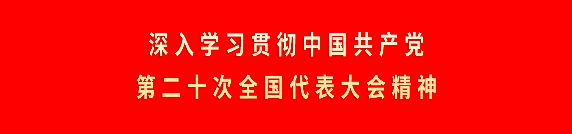 深入学习贯彻中国共产党第二十次全国代表大会精神